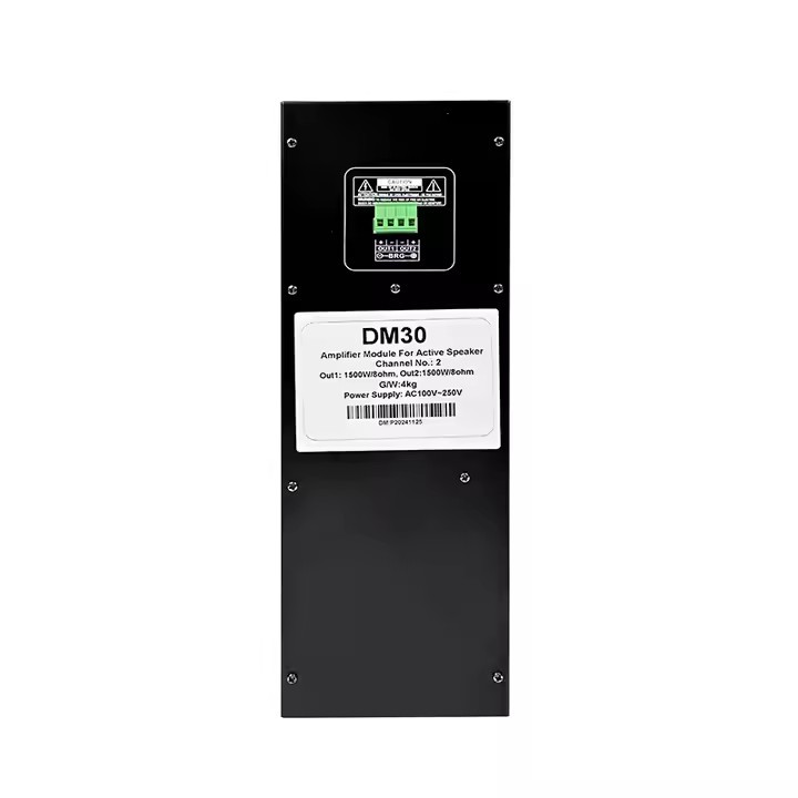 Amplificador de potencia de submódulo DM30 3000W Módulo de amplificador de potencia de frecuencia estéreo de clase D para mini amplificador de potencia DSP