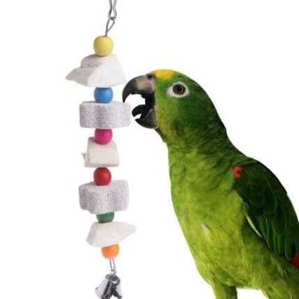 Попугай поставляет игрушку для птиц кость каракатицы добавка кальция строка коренной камень Укус игрушка добавка кальция Комплексная строка