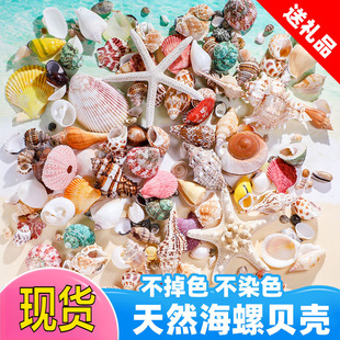 ��Ȼؐ���~���쾰С���ݚ��ֹ��b��˱���ؐ�~�ľ�з��ˇƷ����