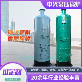 蒸汽发生器;燃气锅炉;燃煤锅炉