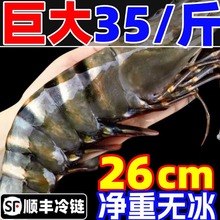 黑虎虾大虾鲜活老虎虾新鲜速冻深海基围虾大海鲜九节竹节虾