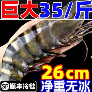 �ڻ��r���r�r���ϻ��r���r�ك�������r���r�Ź����r