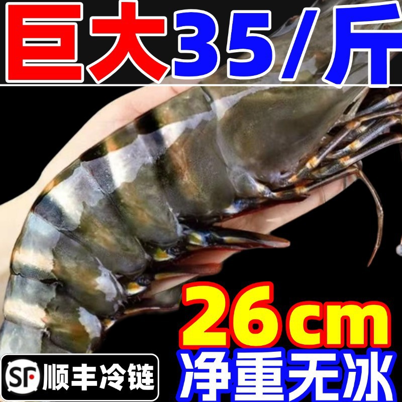 黑虎虾大虾鲜活老虎虾新鲜速冻深海基围虾大海鲜九节竹节虾