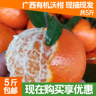 �V���ЙC�ָ����l��ɰ�ǽ� ���rˮ��������] ����֭�ָ�ˮ����