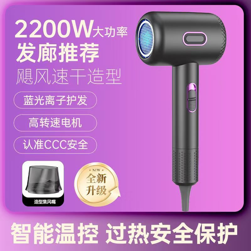 펑치 헤어드라이어 2200w [그레이]