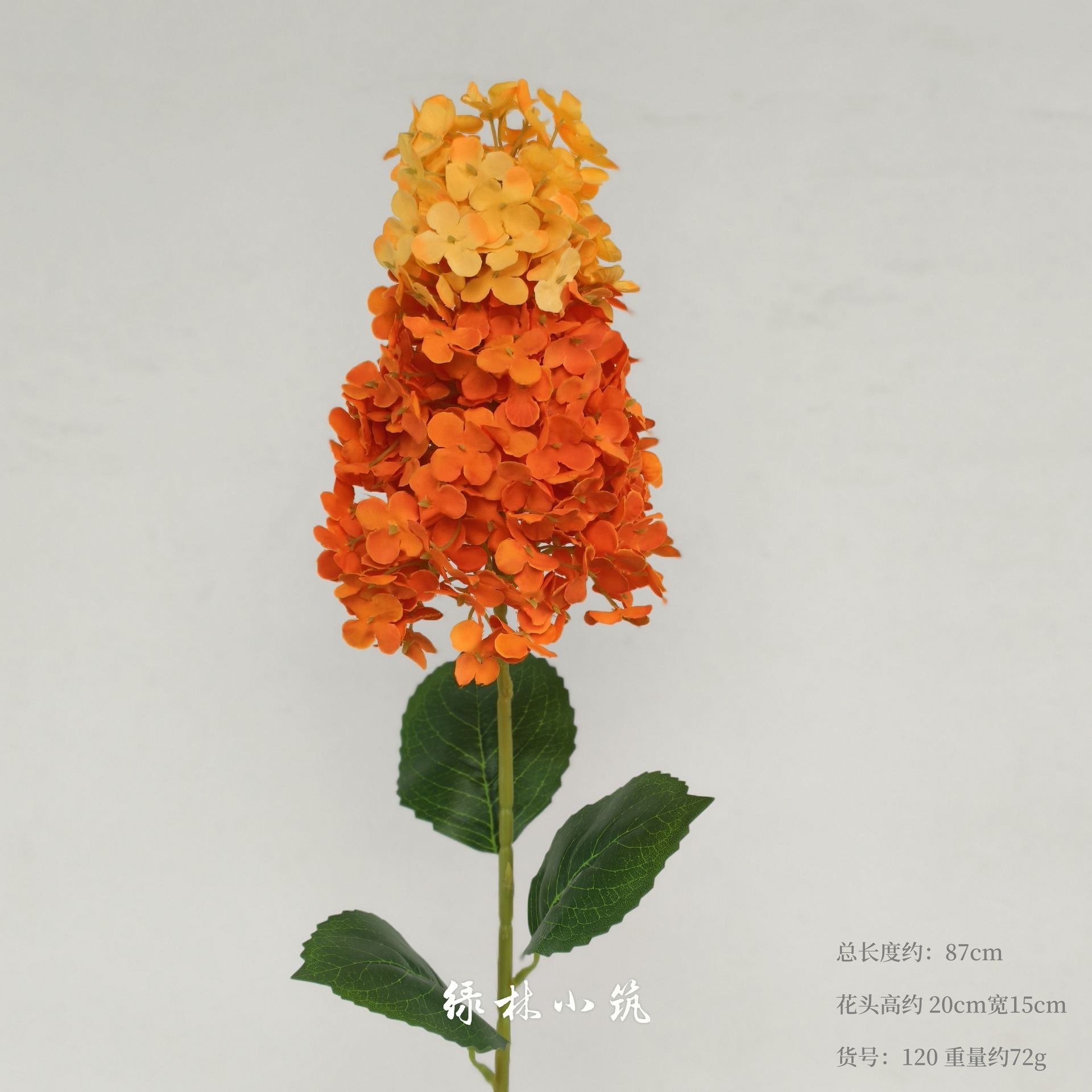 품목번호 120-파고다 수국-오렌지