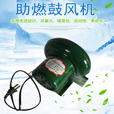 Hyclone Barbecue Homeving 220V Electric Virgin High -сила яйца TSAI Маленькие волосы вентилятор переписка