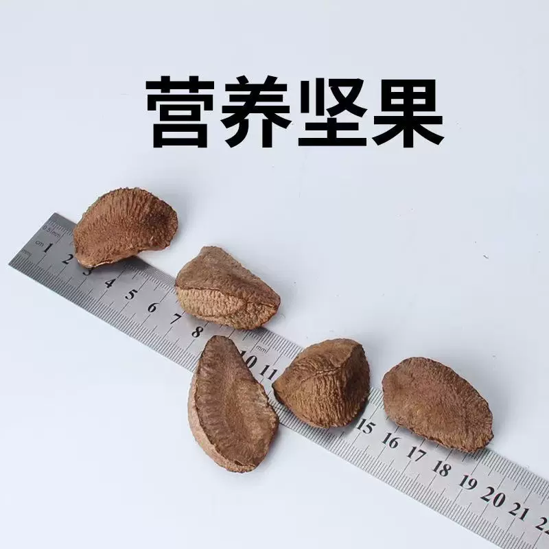 新疆鲍鱼果代发带壳原味生巴西坚果盐焗熟沙漠果办公干果零食