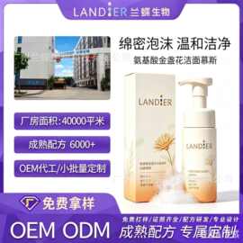 氨基酸金盏花洁面清洁保湿控油温和洁肤洗面奶慕斯OEM定制代加工