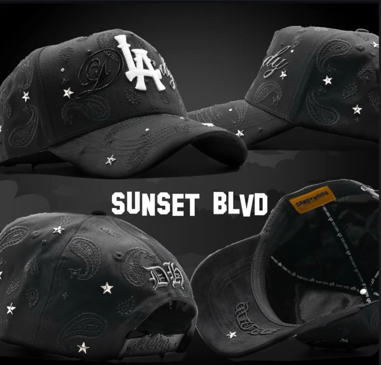 2025 explosión spot DANDY moda hip-hop tendencia gorra gorra de béisbol ajustable comercio exterior transfronterizo al por mayor