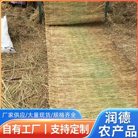 竹木藤苇干草;捆绑带;绳索、扎带