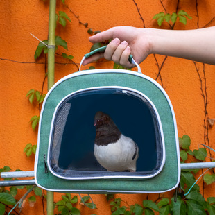 �W�^���B�����������؈�}�����P�B�\ĵ�����B͸��б��С�͌����