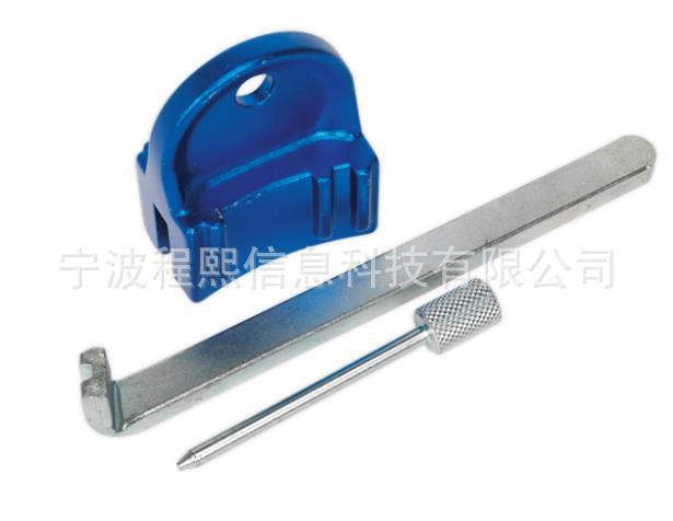 适用于 GM、Saab、Chevrolet 的汽油发动机正时工具套件 - EcoTec