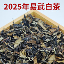 ��ϹŘ�ײ�ɢ���¹��2025������ײ贺����������500��gɢ�b