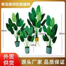 �Gֲ���Է������˽� ���R�d����ֲ���҃ȾӼ��b������������˽�