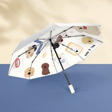 知伞全自动太阳伞防晒伞晴雨两用钛银反光板小巧便携折叠遮阳伞
