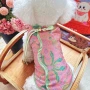 春夏新潮秋季比熊衣服