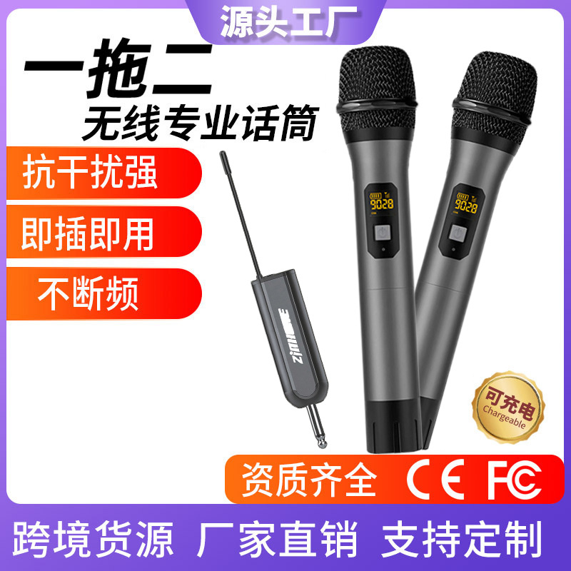Amazon Private Model Wireless Microphone One to Two Universal Stage Speech Ktv Outdoor Audio Wireless Microphone