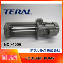 ����ˮ��/TERALɳ��/ˮ��/�ͱ�NQJ-250G