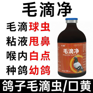 ِ��ë�΃�����ë���x���x����Ȱ��cˮ�G����ϡ���ó�����Ʒ