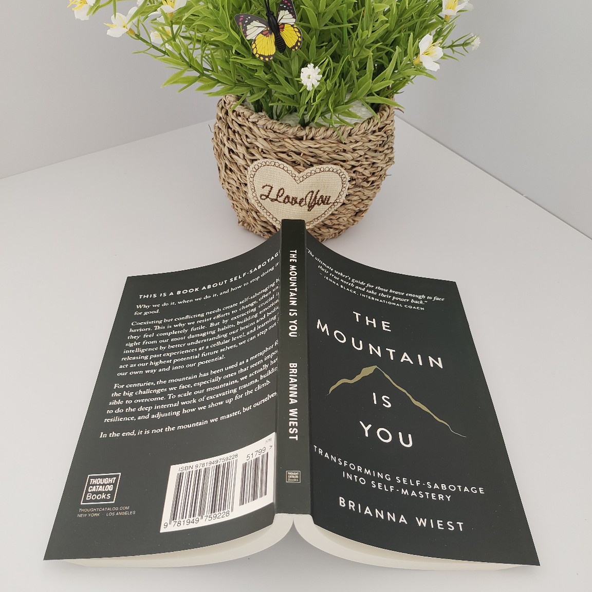 Mountain is your original English version of the mountain is you: self -transition batch discount 3