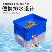 养鱼桶水产养殖鱼箱车载运输活鱼水箱带排水长方桶塑料桶加厚