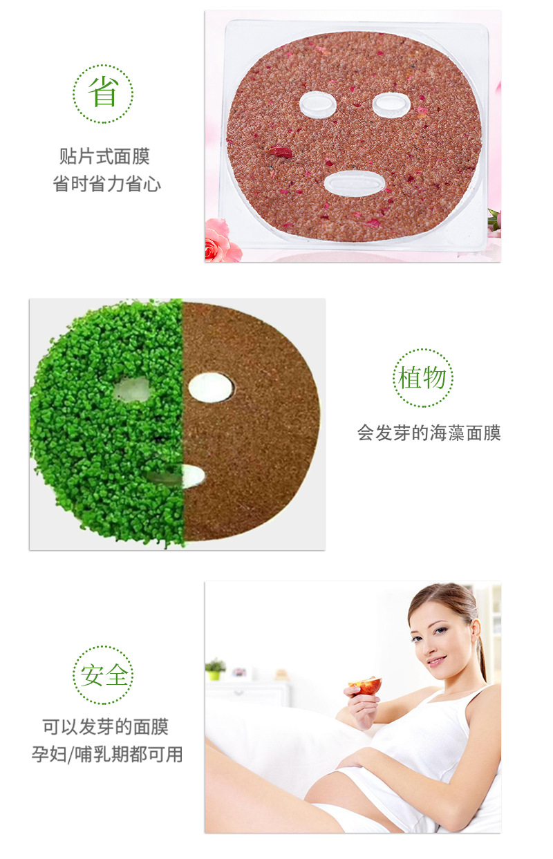 迪丽梦露海藻面膜片详情_06
