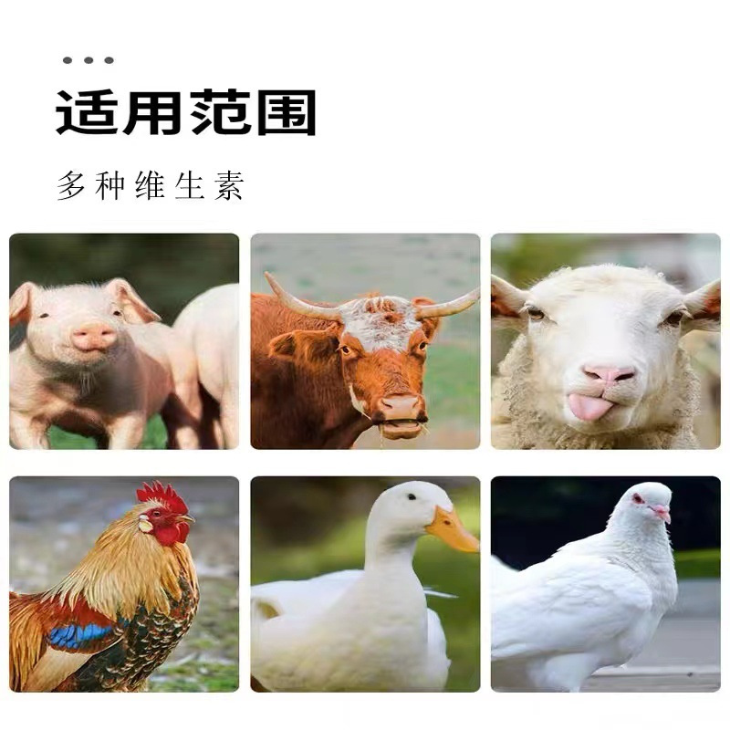 微信图片_20250715112630.png