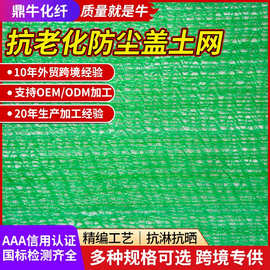 聚乙烯盖土网防尘网建筑工地绿色环保覆盖网4针6针扁丝煤场盖煤网