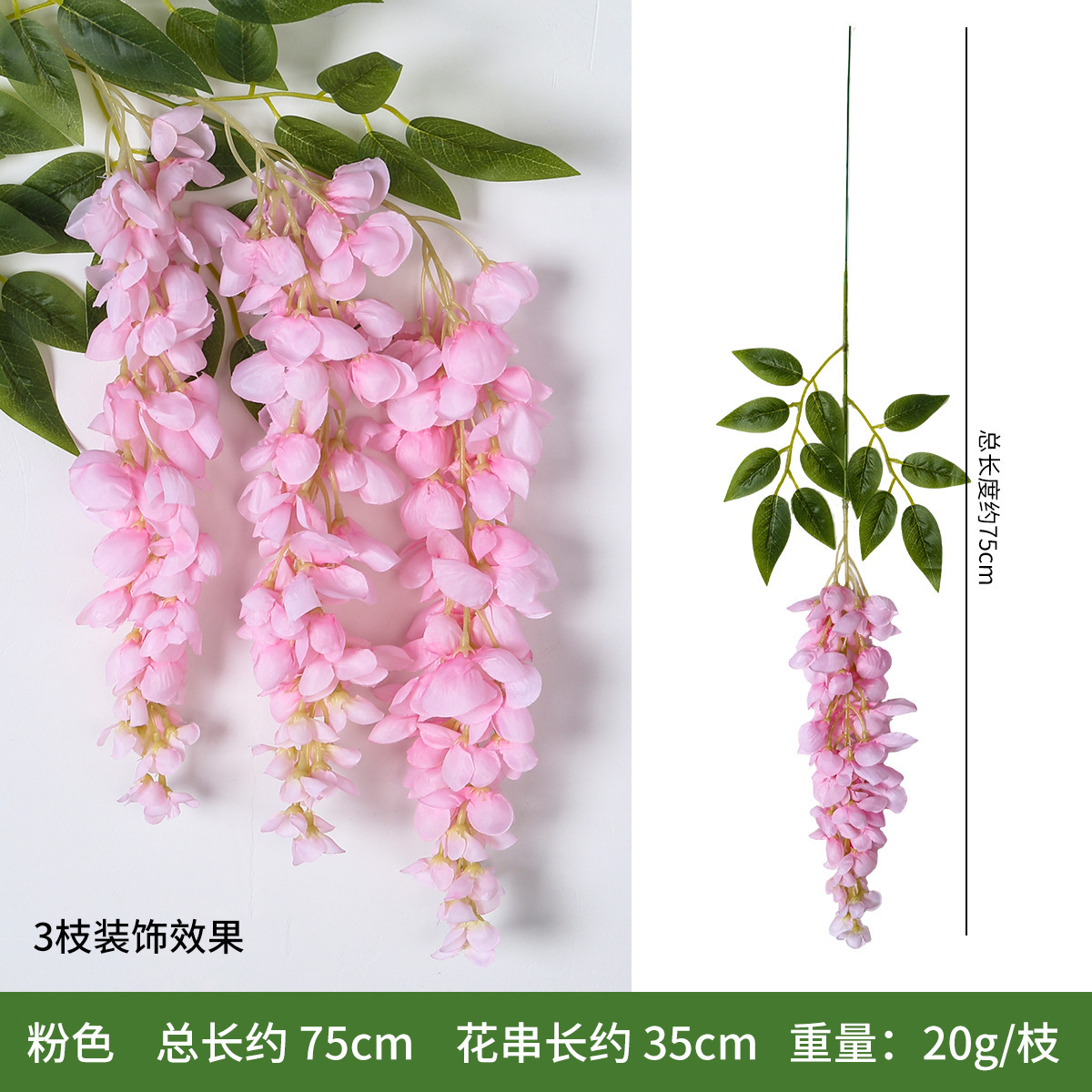 Wisteria Bean Flower * Rosa