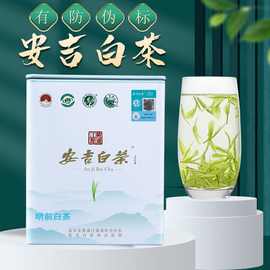 安吉白茶2023新茶明前特级茶叶高山散装绿茶珍稀正宗白茶礼盒装