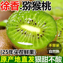 陕西眉县徐香猕猴桃新鲜大果当季整箱产地直发绿心奇异果礼盒果王