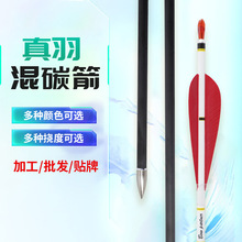 �S�����l��֧�羳�����̼��6.2�ȏ�ǧ���R�L�����C���y����̼��