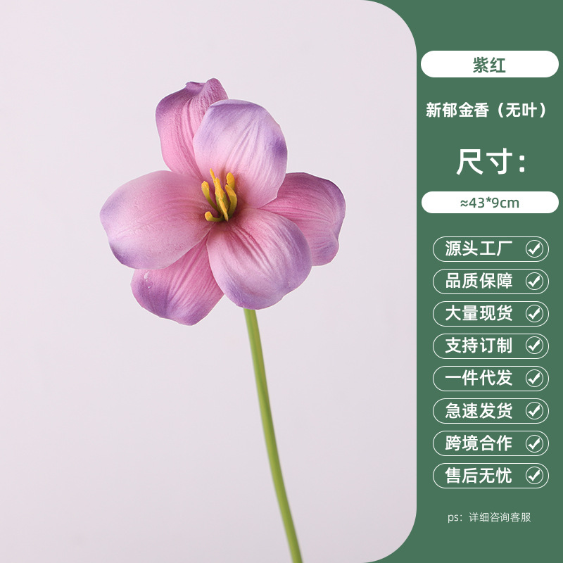 Fuchsia New Tulip (Leafless)