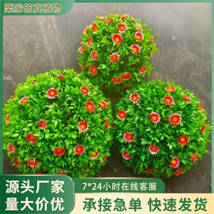 �������ϻ����ܻ�ֲ�ﳬ������b��~�Gɫ�����׷������