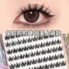 Без клея, 10 рядов, Quanxi, изогнутый пинцет