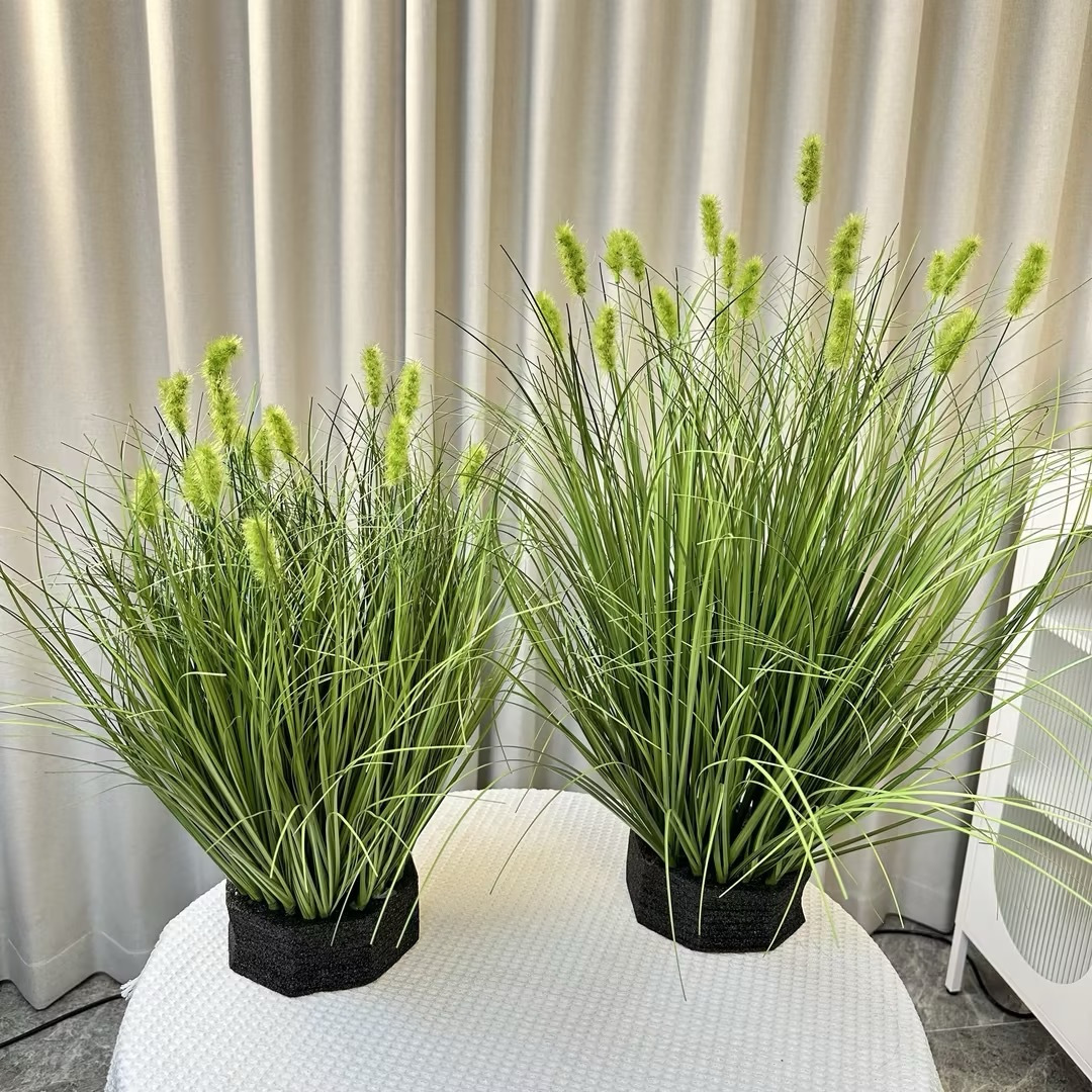 No. 1 gran primavera peludo Cordyceps cabeza verde 50cm(19 cabezas)