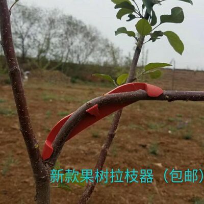 Plastic multi-function Fruit tree 2019 paragraph,Simpler,More practical,Simple operation