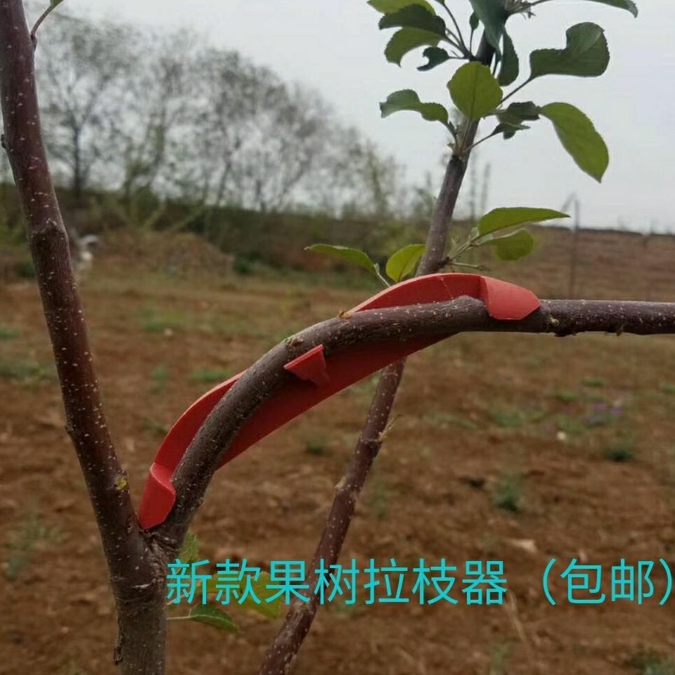 Plastic multi-function Fruit tree 2019 paragraph,Simpler,More practical,Simple operation