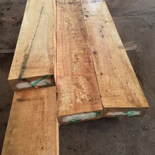 柏木黄香柏香柏木寿材料 棺材料 黄香柏木 柏木 桧木 黄香柏