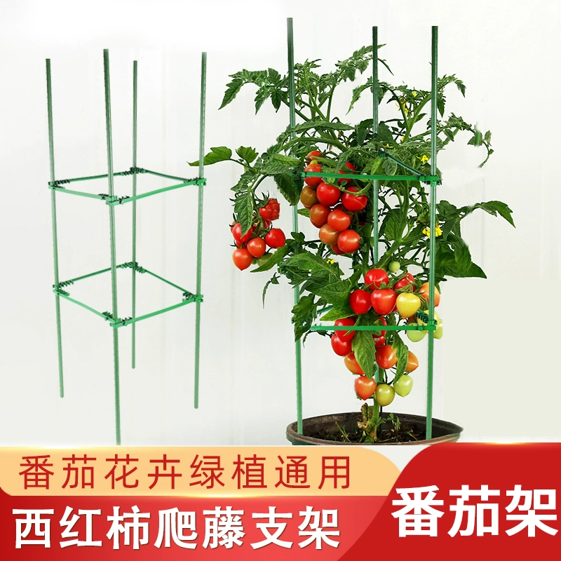 Подставка для цветов для восхождения на ротанговую подрамку для двора помидоры огурец растения томатный роза клематис для выращивания овощей