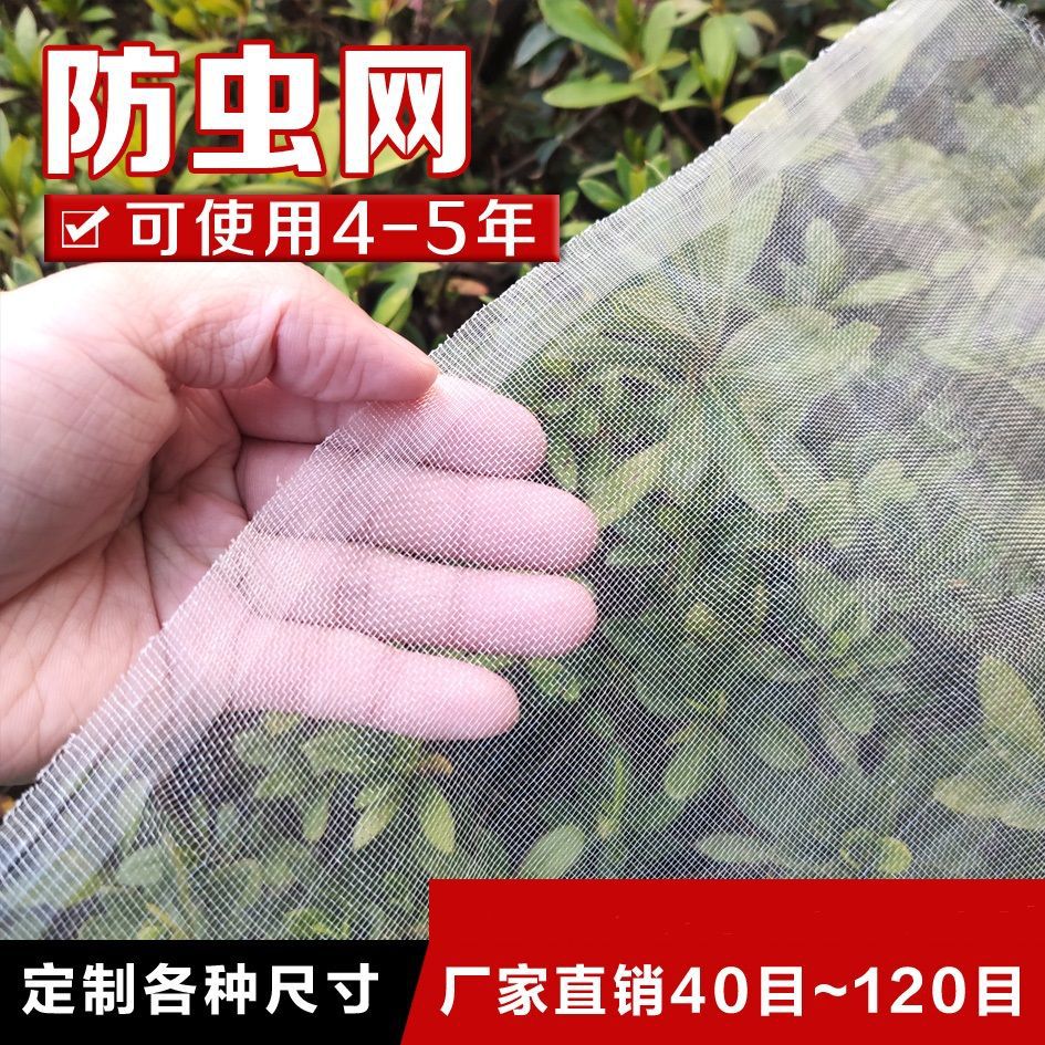 40目60目防虫网大棚杨梅树果树网罩花卉加密加厚农用养殖场防蚊纱