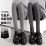 打底微压显瘦秋冬季连裤袜