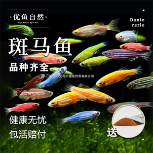 �ɹ���R�~��ˮ�^�p�~С���~�Ꭷ�^�p�~��ɏ���Ꭷ�~�����J��Ⱥ��