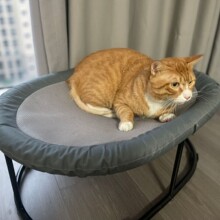 亚马逊爆品猫窝猫床猫咪床保暖猫吊床吊篮离地宠物窝猫用品四季