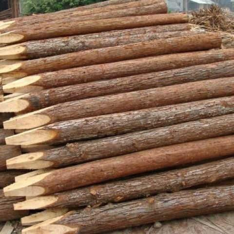 木桩打桩立柱户外河道工程测量定点围栏园林绿化树木支撑杆杉木桩