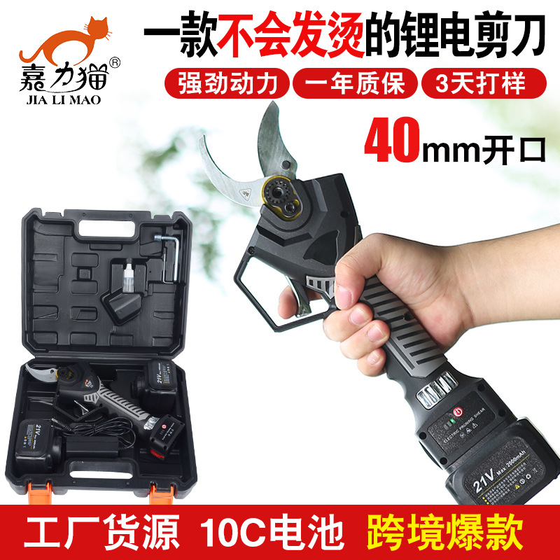 S40 전기 1 대 충전 2 대