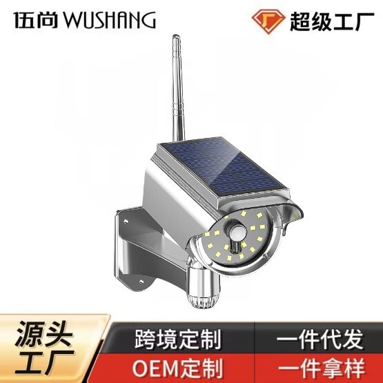 Dake Wholesale Solar Monitoring Light Anti-Theft and Anti-Theft Human Body Sensor Solar Simulation Language Monitoring Lighting