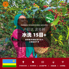 R_MڲԷNˮϴ15Ŀ+ʽʽ֛_2025®a]