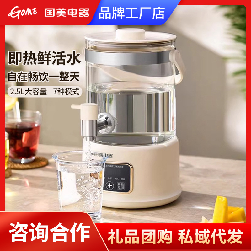 Gome Electric Appliances Health-Preserving Pot with Faucet, Electric Tea Kettle, Multi-Functional Tea Maker, Electric Tea Pot for Brewing and Stewing